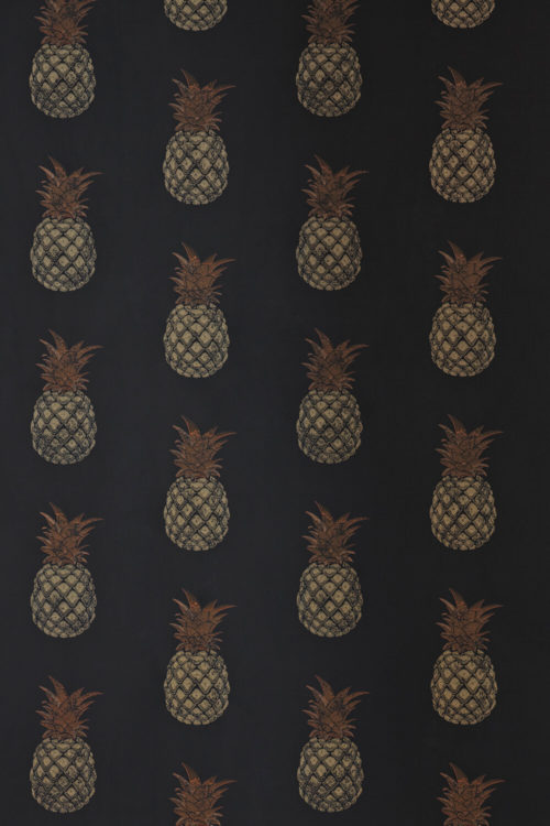 PINEAPPLE CHARCOAL BG1200202